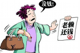 鱼峰企业清欠服务